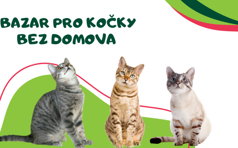 21. BAZAR PRO KOČKY BEZ DOMOVA